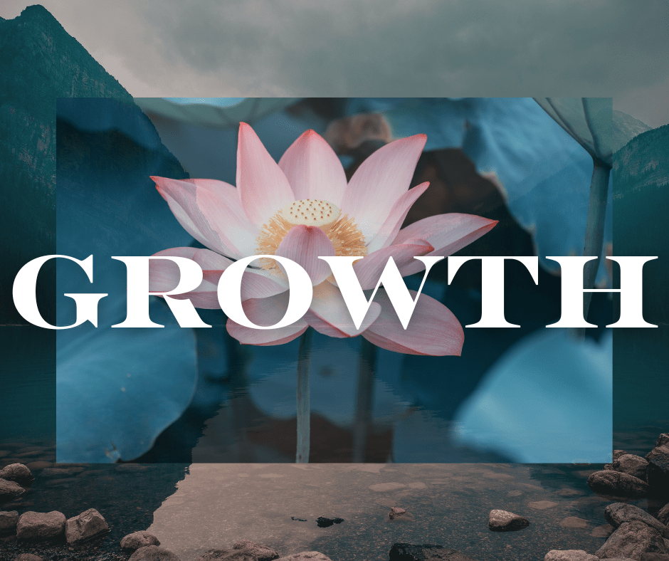 Overcoming Failure and Embracing&nbsp;Growth